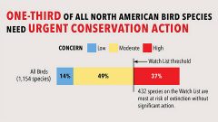 One-third of all North American species are in need of urgent conservation action.