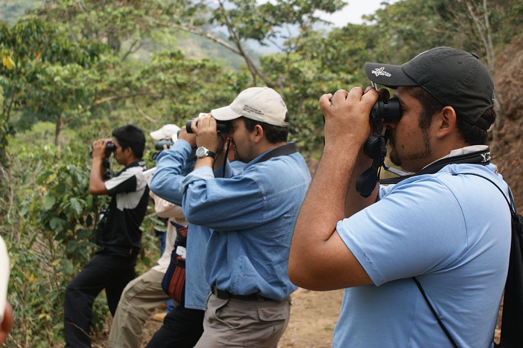 Bird watchers in Mexico.