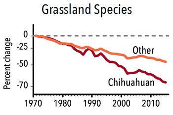 Grasslands species percentage change