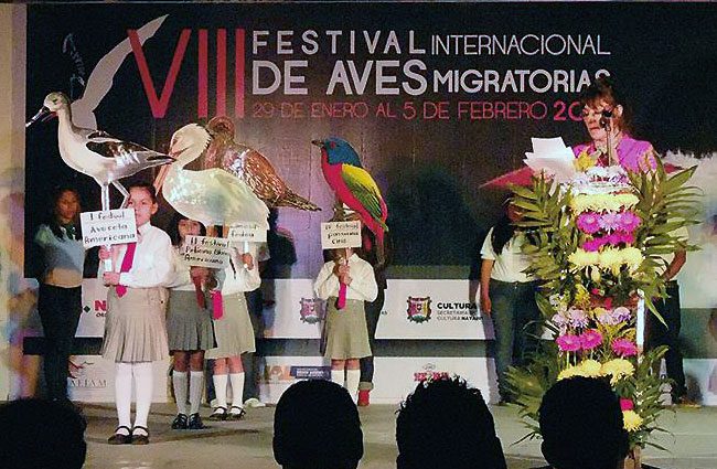 Schoolchildren doing a presentation about shorebirds.