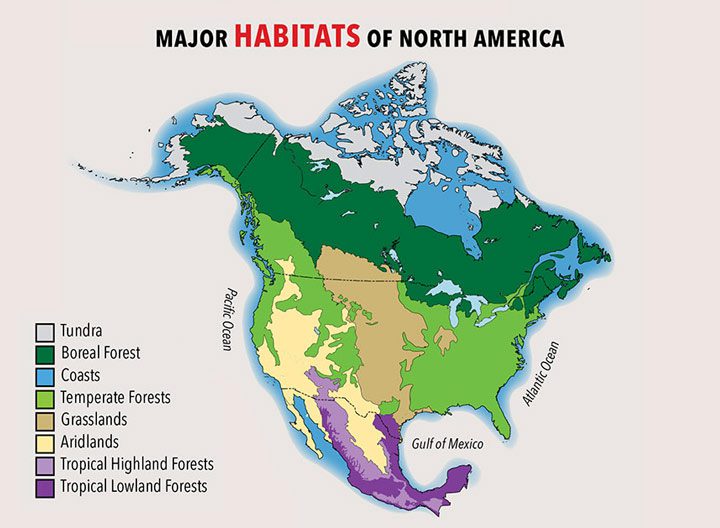 Major habitats of North America.