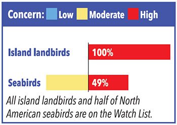 All island landbirds and half of North American seabirds are on the watch list