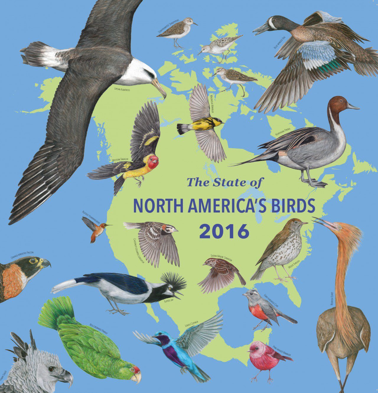 State of North America's Birds 2016 cover