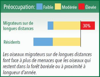 Les oiseaux migrateurs sur de longues distances font face a plus de menaces que les oiseaux qui restent dans la foret boréale ou a proximité a longueur d'annee