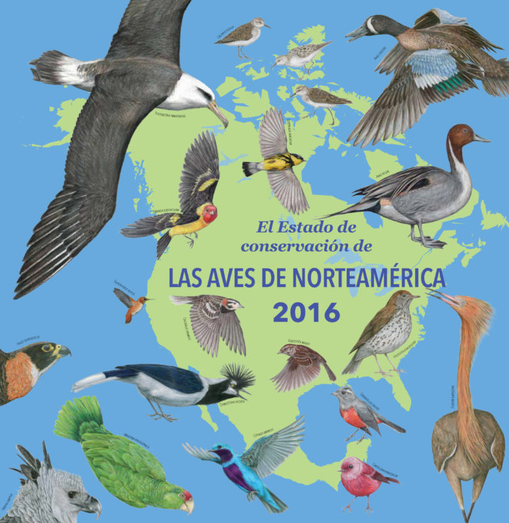 Descarga Portada del Estado de Conservación de las Aves de Norteamérica 2016