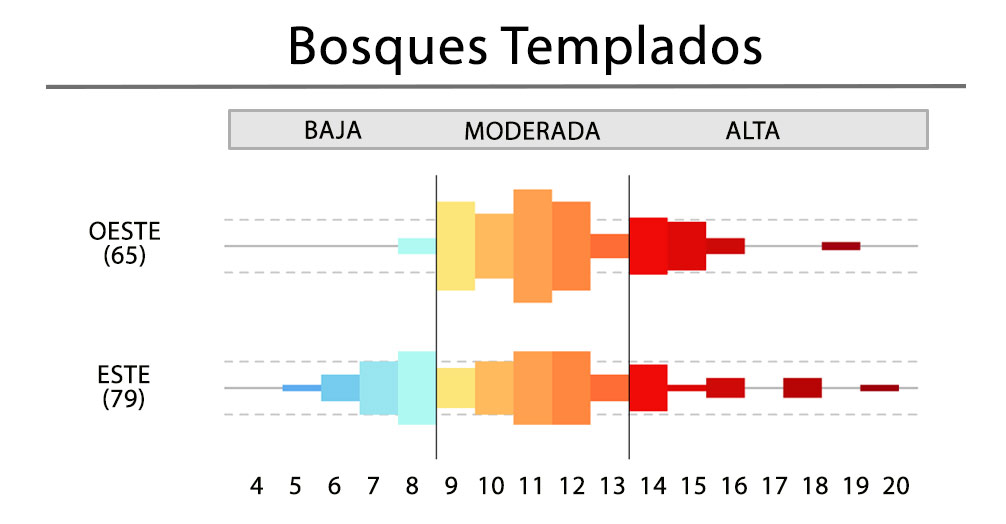 Bosque Templados