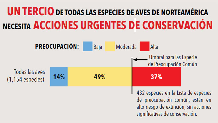 Un tercio de todas las especies de América del Norte están en necesidad de medidas urgentes de conservación.