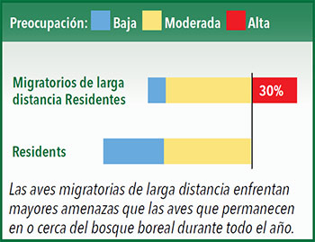 Las aves migratorias de larga distancia enfrentan  mayores amenazas que las aves que permanecen en o cerca del bosque boreal durante todo el ano