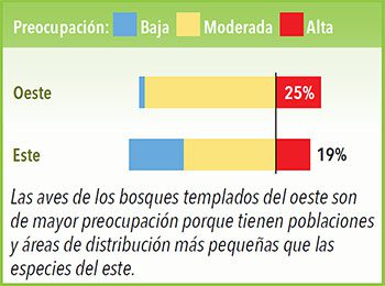 Las aves de los bosques templados del oeste son de mayor preocupación porque tien poblaciones y áreas de distribución más pequeñas que las especies del este