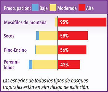 Las especies de todos los tipos de bosques tropicales están en alto riesgo extinción