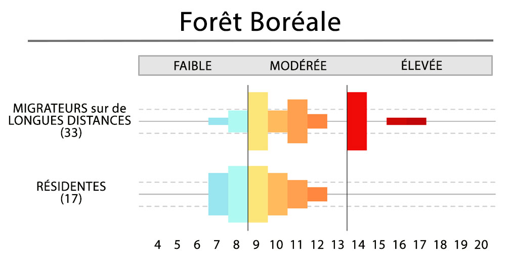 Foret Boreale