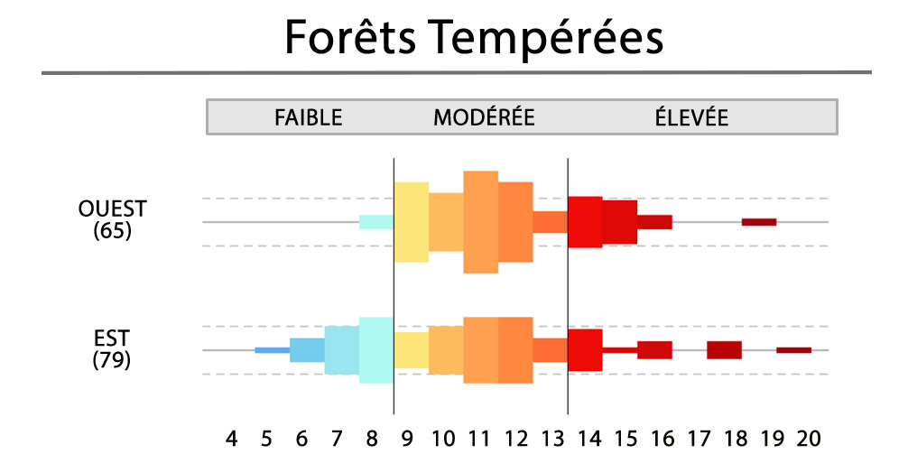 Foret Temperees