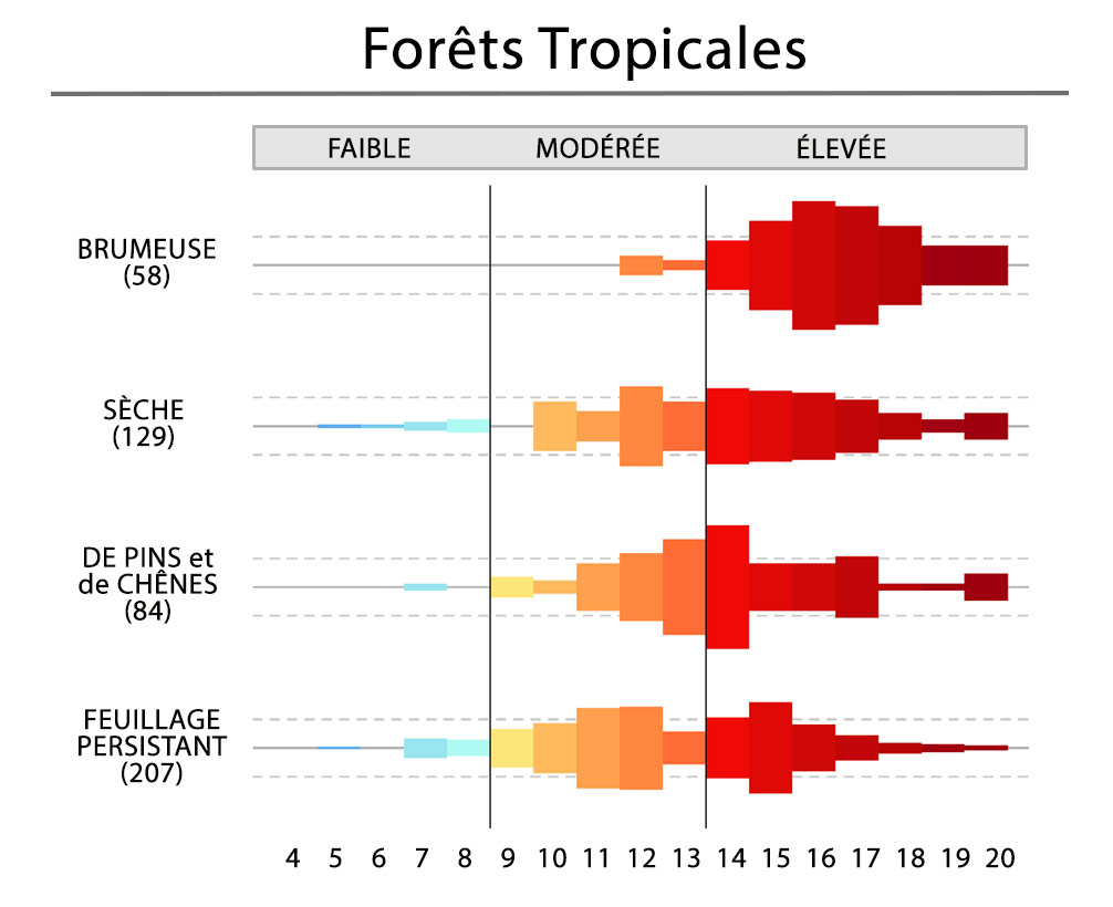 Foret Tropicales