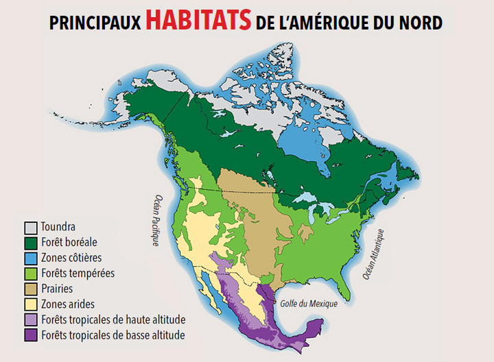 Principaux habitats de l'amérique du nord