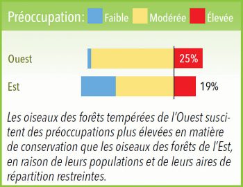 Les oiseaux des forêts tempérées de l'ouest suscitent des préoccupations plus élevées en matière de conservation que les oiseaux des forets de l;est, en raison de leurs populations et de leurs aires de repartition restreintes