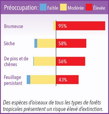 Des especes d'oiseaux de tous les types de forets tropicales présentent un risque eleve d'extinction