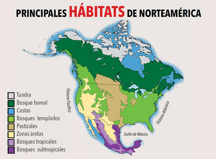 Principales habitats de norteamerica