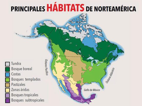 Principaux habitats de l’Amérique du Nord.