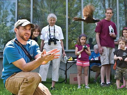 releasing a bird at a public event