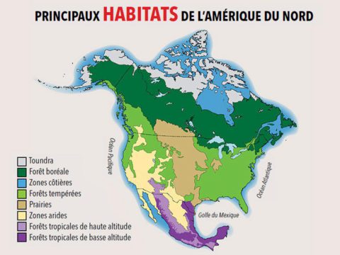 Principales hábitats de Norteamérica.