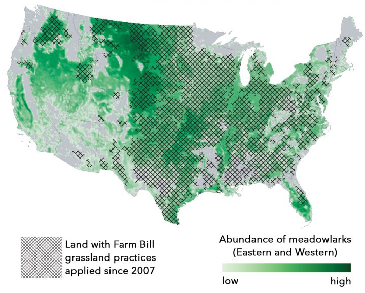 Map of Eastern and Western Meadowlark abundance from eBird data; Farm Bill conservation practices from USDA-NRCS data.