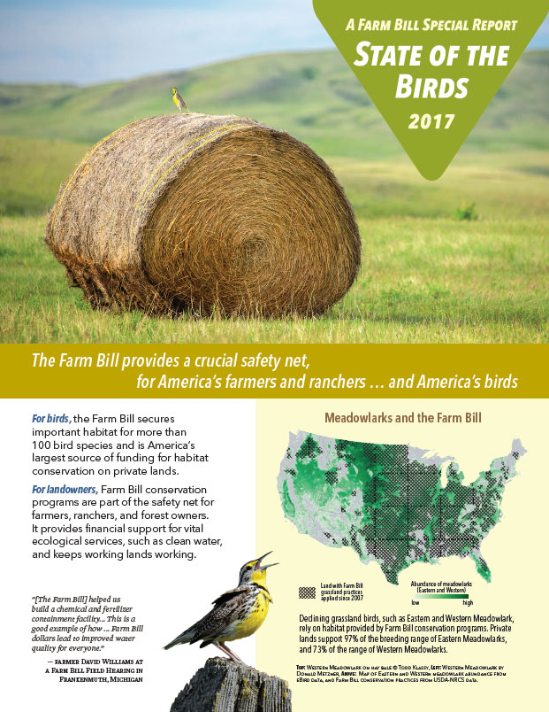 cover of State of the Birds 2017 Farm Bill Special Report