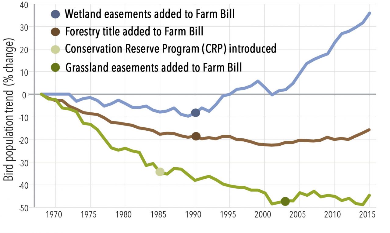 population trends for wetland, forest, and grassland birds