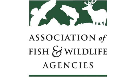 Alliance for America's Fish & Wildlife logo