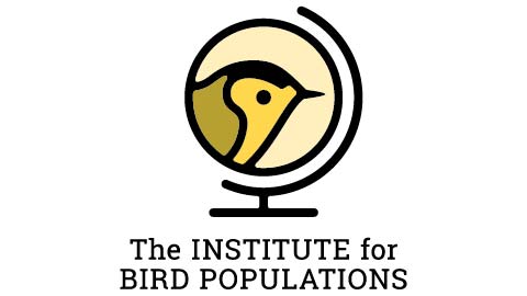 The Institute for Bird Populations logo