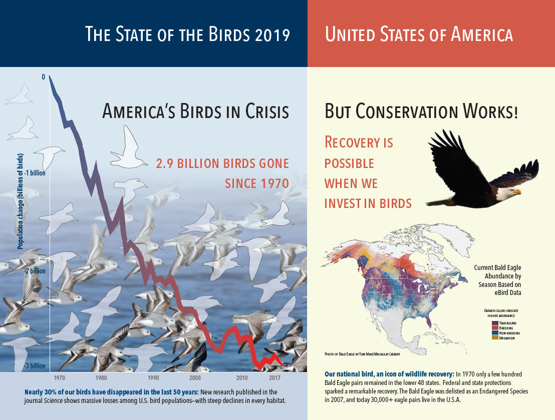 Download the State of the Birds 2019 PDF