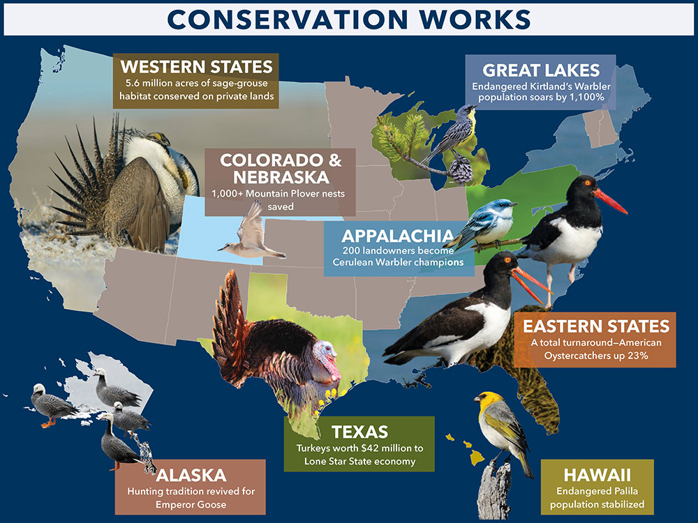 When we invest in conservation, we see wildlife population increases and endangered species recovery. Additional funding will allow states to replicate conservation successes across thousands of other species of greatest conservation need.