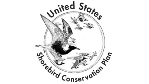 United States Shorebird Conservation Plan logo