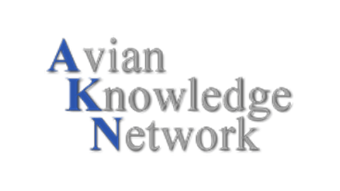 Avian Knowledge Network logo