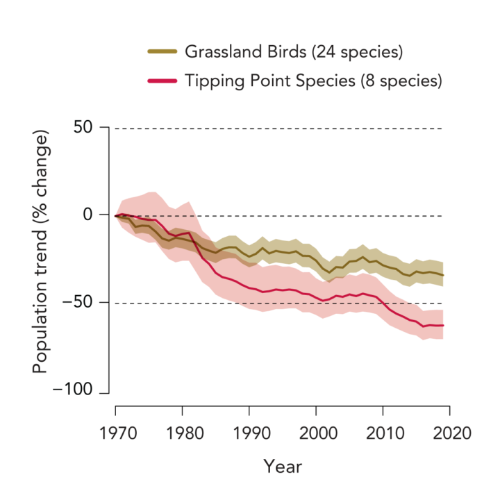 Grassland Birds State of the Birds 2022