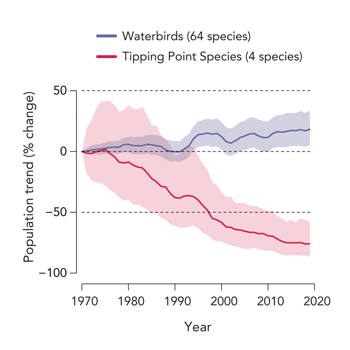 a graph showing slight increases in 64 species of waterbirds, purple line, and steep declines in 4 tipping point species, red line, since 1970