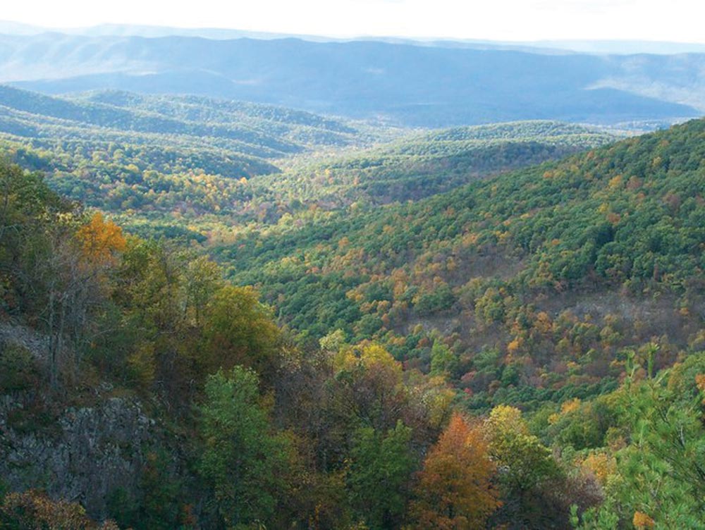 autumn mountain landscape with green, yellow, and orange trees fading into the distance