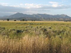 a Utah landscape with grasses, pasture, and mountains