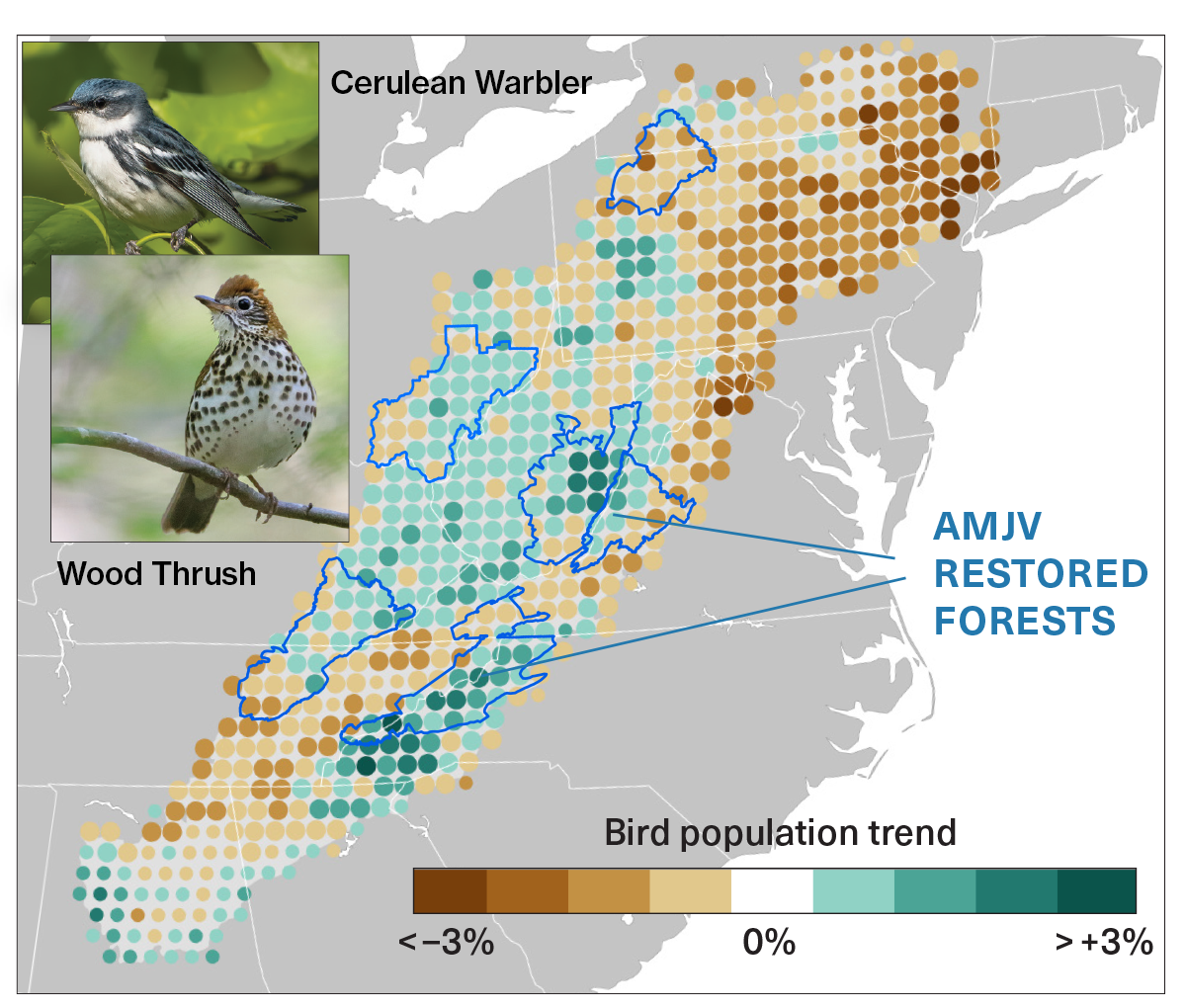 map showing bird population trends compared to joint venture lands. inset photos of two songbirds, a cerulean warbler and a wood thrush