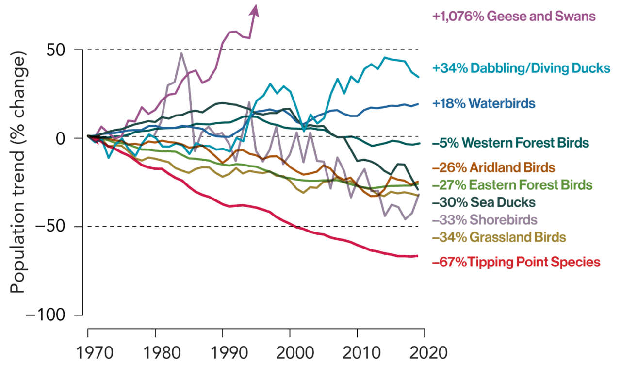 graph displaying jagged lines representing population increases and decreases of 10 groups of birds since 1970