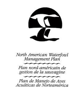 logo - north american waterfowl management plan