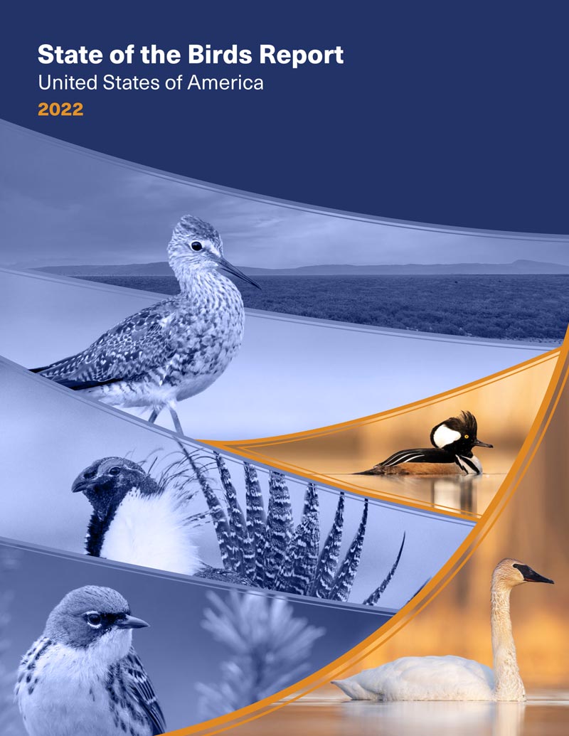 cover of the State of the Birds Report United States of America 2022, featuring a collage of declining and rising curves and photos of declining and increasing bird species