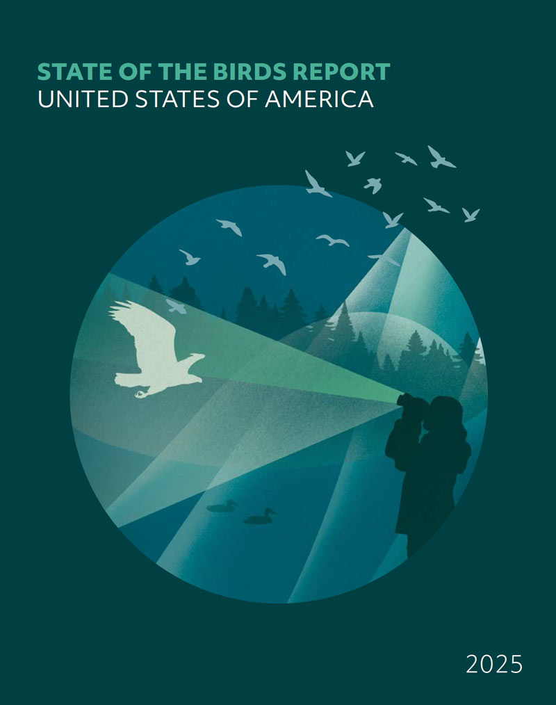 cover page with stylized silhouettes of a birder watching an eagle in a landscape of mountains, forest, and lake