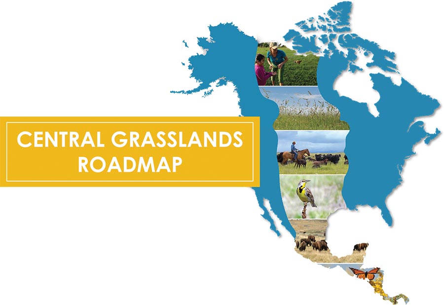 logo - central grasslands roadmap