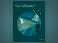 Cover page with stylized silhouettes of a birder watching an eagle in a landscape of mountains, forest, and lake, and words: 