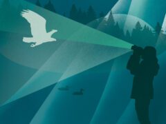 stylized silhouettes of a birder watching an eagle in a landscape of mountains, forest, and lake